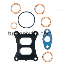 Gaskets set 215840